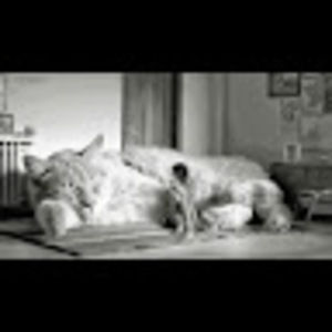 Meet your Posher, Estelle